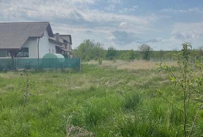 Teren de 550 mp, în Tăuții-Măgherăuș - 6