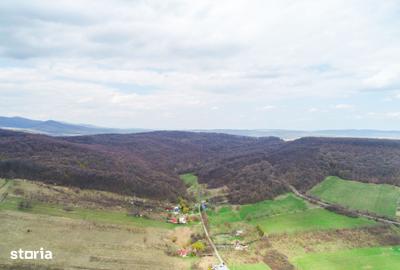 Teren de 1567 mp, în Central