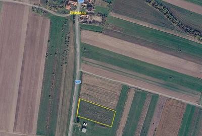 Teren de 5700 mp, în Chișlaca