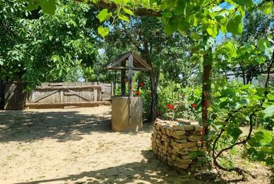 Casă cu 2 camere în Șimian - 6