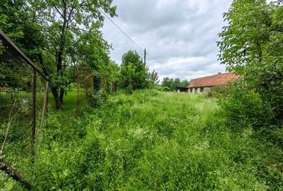 Teren de 18645 mp, în Central