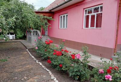 Casă cu 3 camere în Cecălaca - 5