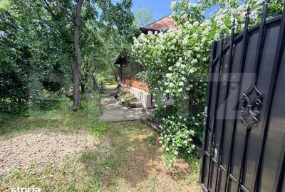 Casă cu 2 camere cu Teren 1192 Mp în Mischii - 13