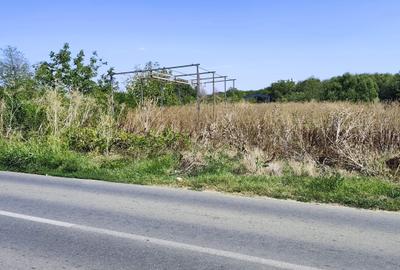 Teren Construcții intravilan de 2562 mp, în Săbăreni - 3