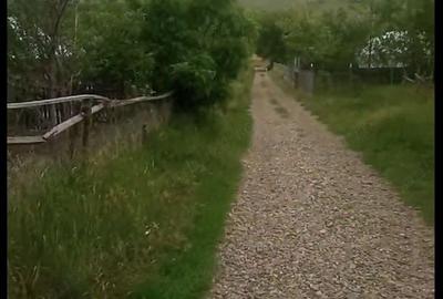 Teren de 2800 mp, în Mateieni - 3