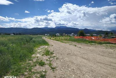 Teren de 42500 mp, în Cristian - 1