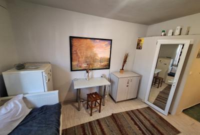 Garsonieră nedecomandată în Aradului - 2