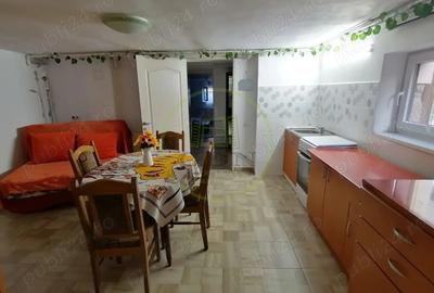 Apartament cu 2 camere decomandat, mobilat în Sub Arini - 4