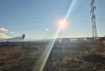 Teren de 10600 mp, în Viișoara - 1