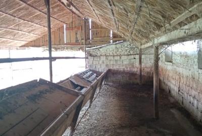 Spațiu industrial, de 317.60000610352 mp, în Nădlac - 4