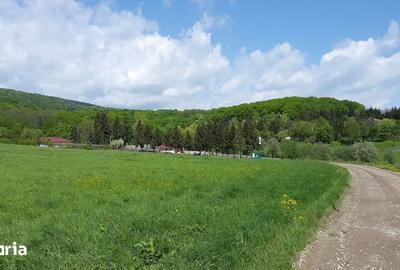 Teren de 3900 mp, în Negrești