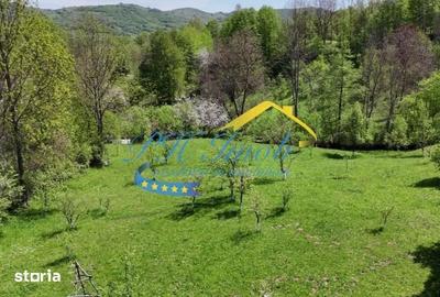 Casă cu 5 camere cu Teren 1991 Mp în Provița de Sus