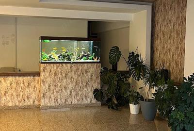Apartament cu 2 camere semidecomandat în Bucureștii Noi - 2