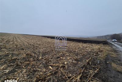 Teren de 7400 mp, în Moara - 1