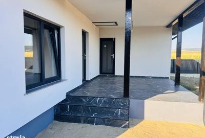 Casă cu 3 camere în Lilieci