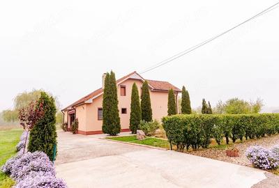 Casă cu 4 camere cu Teren 3200 Mp în Archiș - 4