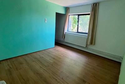 Casă cu Teren 2200 Mp în Țipari - 5