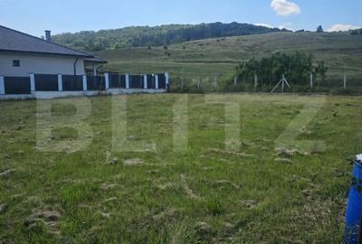 Teren de 930 mp, în Viișoara