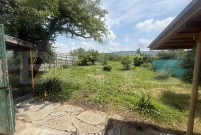 Casă cu 4 camere cu Teren 1692 Mp în Lunca (Voinești) - 12