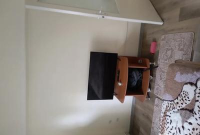 Apartament cu 2 camere decomandat în Careiului - 3