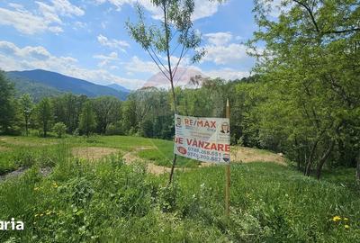 Teren de 2910 mp, în Hangu - 16