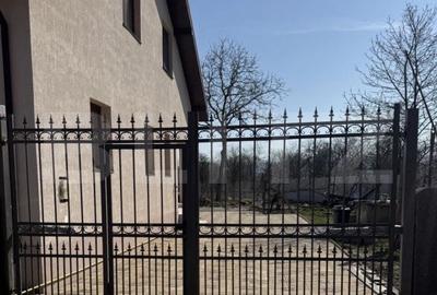 Casă cu 7 camere cu Teren 3200 Mp în Băcia - 4
