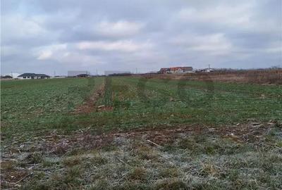 Teren de 3622 mp, în Nojorid
