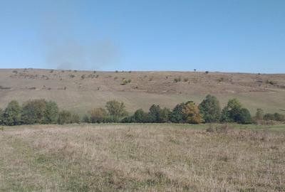 Teren agricol extravilan de 5000 mp, în Apața - 9