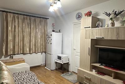 Apartament cu 2 camere semidecomandat în Mureșeni