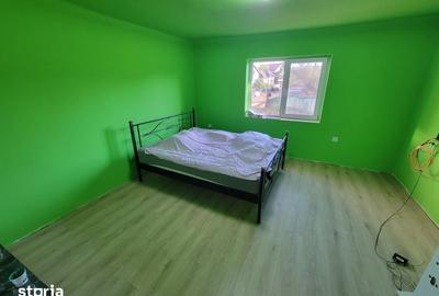 Casă cu 2 camere cu Teren 73 Mp în Mica - 4