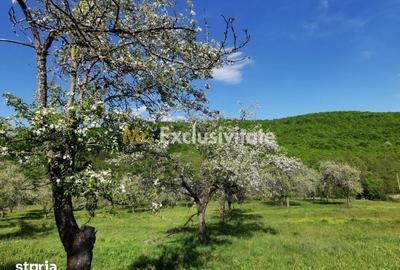 Teren de 680 mp, în Budeasa