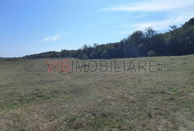 Teren intravilan de 7500 mp, în Central - 2