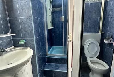 Apartament cu 3 camere decomandat, mobilat în Dristor - 10