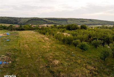 Teren de 3000 mp, în Sânmartin