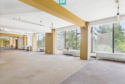 Spațiu comercial, de 343 mp, în Aradului - 2