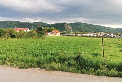 Teren Construcții intravilan de 9300 mp, în Chistag - 3