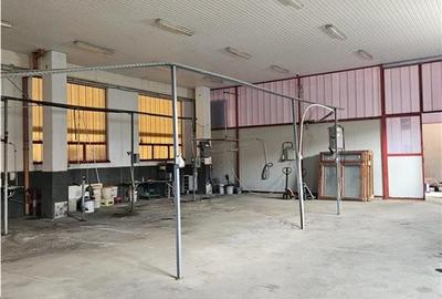 Spațiu industrial, de 2,200 mp, în Mârșa - 18