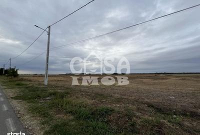 Teren de 1100 mp, în Mogoșani - 9