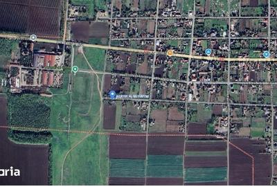 Casă cu 3 camere cu Teren 3803 Mp în Cobadin - 3