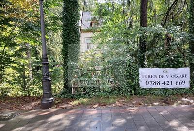 Casă cu Teren 3313 Mp în Central