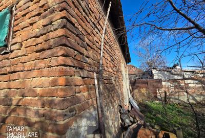 Casă cu 3 camere cu Teren 742 Mp în 6 Vânători - 2