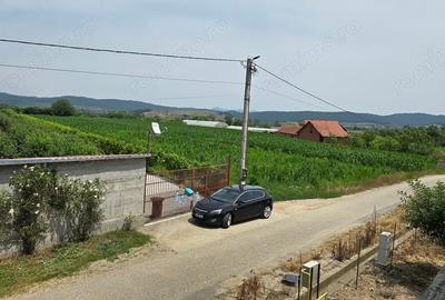 Casă cu 6 camere în Leșnic - 8