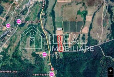 Teren agricol extravilan de 6500 mp, în Cârțișoara - 8