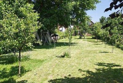 Casă individuală cu 6 camere cu Canalizare în Gruia - 20