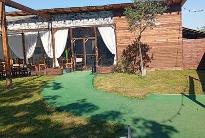 Casă cu 4 camere cu Teren 2500 Mp în Comana