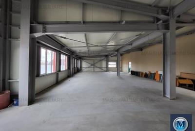 Spațiu industrial, de 798.54998779297 mp, în Exterior Vest - 8