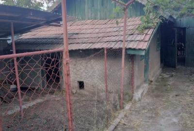 Casă cu 4 camere cu Teren 1030 Mp în Central