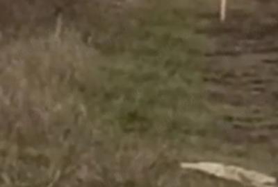 Teren de 4500 mp, în Recea