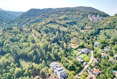 Teren Construcții intravilan de 5500 mp, în Brașovul Vechi - 10
