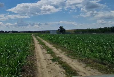 Teren de 2471 mp, în Cornetu - 1